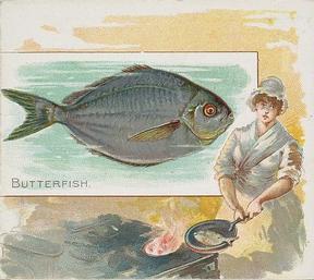 1889 Allen & Ginter 50 Fish from American Waters (N39) #NNO Butterfish Front