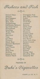 1888 Duke's Fishers and Fish (N74) #NNO Barbed Loach Back