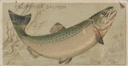 1888 Duke's Fishers and Fish (N74) #NNO California Salmon Front