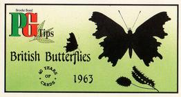 1994 Brooke Bond 40 Years of Cards (Black Back) - Light Blue Back #11 British Butterflies Front