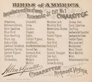 1890 Allen & Ginter Birds of America (N37) #NNO Blue Bird Back