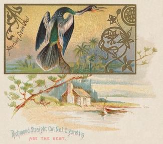 1890 Allen & Ginter Game Birds (N40) #NNO American Snake Bird Front