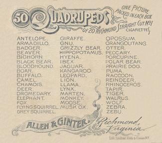 1890 Allen & Ginter Quadrupeds (N41) #NNO Antelope Back