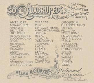1890 Allen & Ginter Quadrupeds (N41) #NNO Moose Back