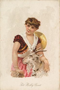 1891 W.S. Kimball & Co. Household Pets (N194) #NNO Pet Billy Goat Front