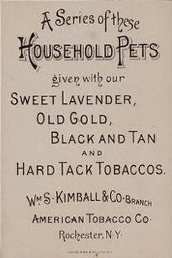 1891 W.S. Kimball & Co. Household Pets (N194) #NNO Pet Calf Back