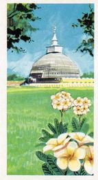 1964 Seymour Mead & Co. / Burgons Ltd The Island of Ceylon #3 Flowers Front