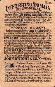 1898 Dwight's Soda Interesting Animals (J10) #16 Camels Back