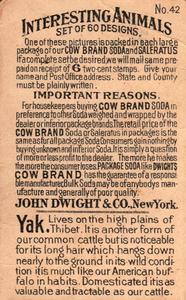 1898 Dwight's Soda Interesting Animals (J10) #42 Yak Back