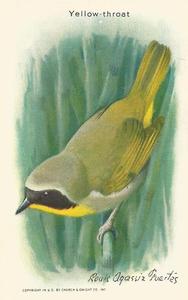 1936 Church & Dwight Useful Birds of America Ninth Series (J9-5) #2 Yellow-throat Front