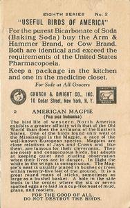 1936 Church & Dwight Useful Birds of America Eighth Series (J9-4) #2 American Magpie Back