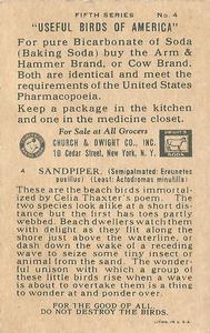 1933 Church & Dwight Useful Birds of America Fifth Series (J9-1) #4 Sandpiper Back