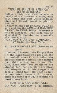 1915 Church & Dwight Useful Birds of America First Series (J5) #21 Barn Swallow Back