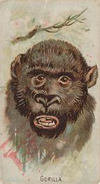 1910 Philadelphia Confections Zoo Animals (E29) #16 Gorilla Front