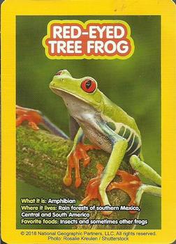 2018 McDonald's National Geographic Kids #NNO Red-Eye Tree Frog Front
