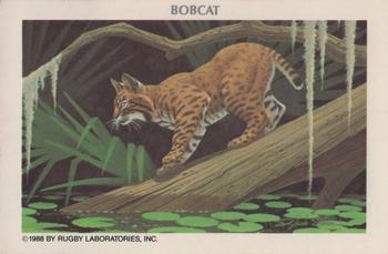1988 Rugby Laboratories American Heritage Wildlife Series 10 #2 Bobcat Front