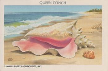 1988 Rugby Laboratories American Heritage Wildlife Series 10 #3 Queen Conch Front