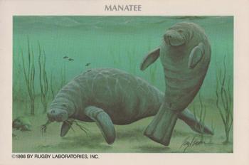 1988 Rugby Laboratories American Heritage Wildlife Series 10 #4 Manatee Front