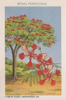 1988 Rugby Laboratories American Heritage Wildlife Series 10 #5 Royal Poinciana Front