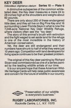 1988 Rugby Laboratories American Heritage Wildlife Series 10 #6 Key Deer Back
