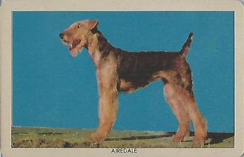 1950 Quaker Oats Challenge of the Yukon Dogs (F279-5) #NNO Airedale Front