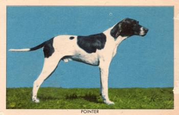 1950 Quaker Oats Challenge of the Yukon Dogs (F279-5) #NNO Pointer Front