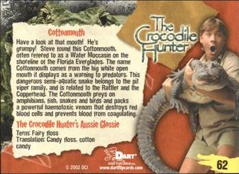 2002 Dart The Crocodile Hunter #62 Cottonmouth Back