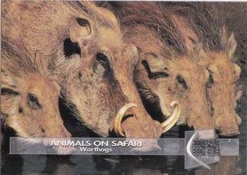 1993 Boomerang Book Club Animals on Safari #9 Warthogs Front