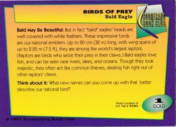 1993 Boomerang Book Club Birds of Prey - Gold #1 Bald Eagle Back