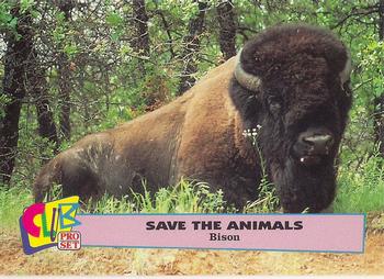 1992 Club Pro Set Save the Animals - Silver #18 Bison Front