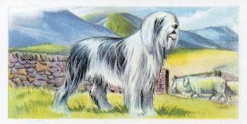 1957 Priory Tea Pets #4 Sheepdog Front