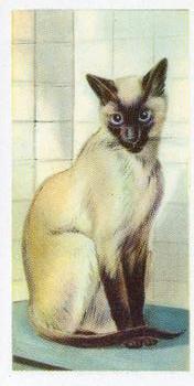 1957 Priory Tea Pets #8 Siamese Cat Front