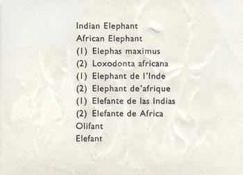 1957 Granose Foods Animal Life #NNO Indian Elephant - African Elephant Back