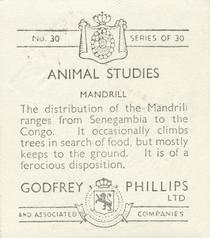1936 Godfrey Phillips Animal Studies #30 Mandrill Back