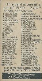 1907 Philadelphia Caramel Zoo Cards: Fish (E32) #NNO Shark Back