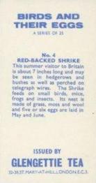 1970 Glengettie Tea Birds and Their Eggs #4 Red-Backed Shrike Back