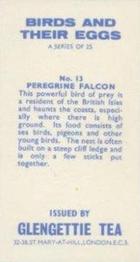 1970 Glengettie Tea Birds and Their Eggs #13 Peregrine Falcon Back