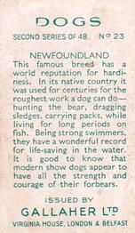1938 Gallaher Dogs Series 2 #23 Newfoundland Back
