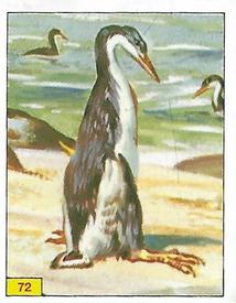 1992 Panini Prehistoric Animals Stickers #72 Hesperornis Front