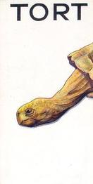 1934 Wills's Animalloys #37 Tortoise Front