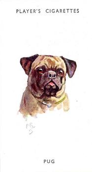 1955 Player's Dogs' Head #21 Pug Front