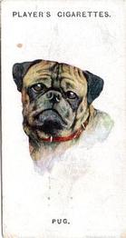 1931 Player's Dogs' Head (A. Wardle Paintings) #23 Pug Front