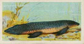 1924 Imperial Tobacco Co of Canada (ITC) Fishes of the World (C12) #NNO Australian Lung-fish Front