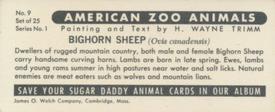 1963 Nabisco Sugar Daddy American Zoo Animals Series 1 #9 Bighorn Sheep Back