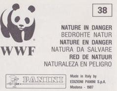 1987 Panini WWF Nature in Danger Stickers #38 Octopus Back