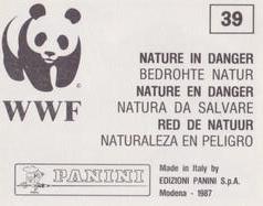 1987 Panini WWF Nature in Danger Stickers #39 Moray Eel Back