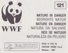 1987 Panini WWF Nature in Danger Stickers #121 Avocet Back