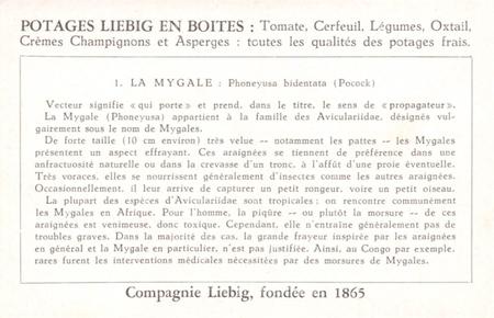 1956 Liebig Arthropodes venimeux au vecteurs de maladies du Congo (Harmful Insects of the Congo) (French Text) (F1635, S1637) #1 La Mygale Back