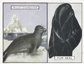 1929 Wills's Animals and Their Furs #21 Fur Seal Front