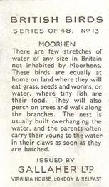 1937 Gallaher British Birds #13 Moorhen Back